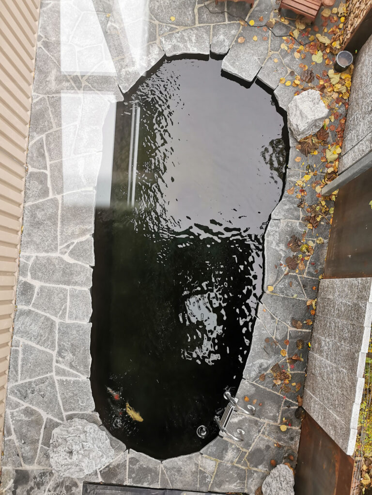 Fertigteich Ellipse